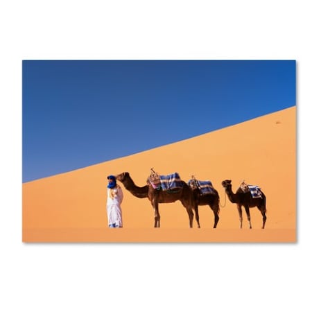 Robert Harding Picture Library 'Camels 1' Canvas Art,30x47